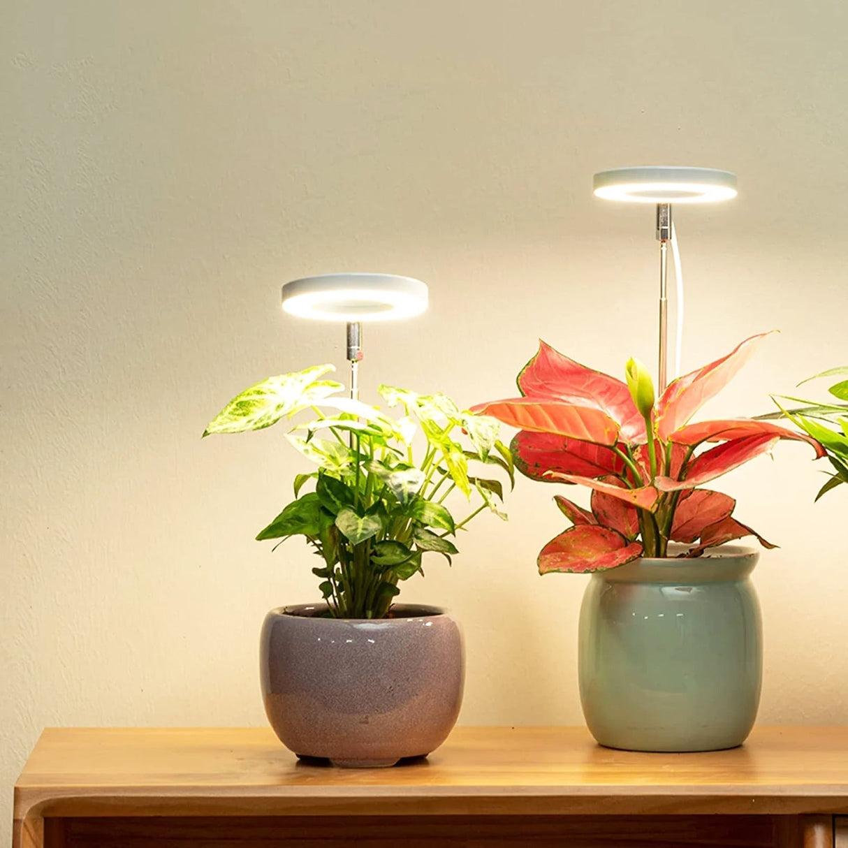 PlantGlow - Justerbar LED Grow Lampa för blomstrande inomhusväxter Carvallo