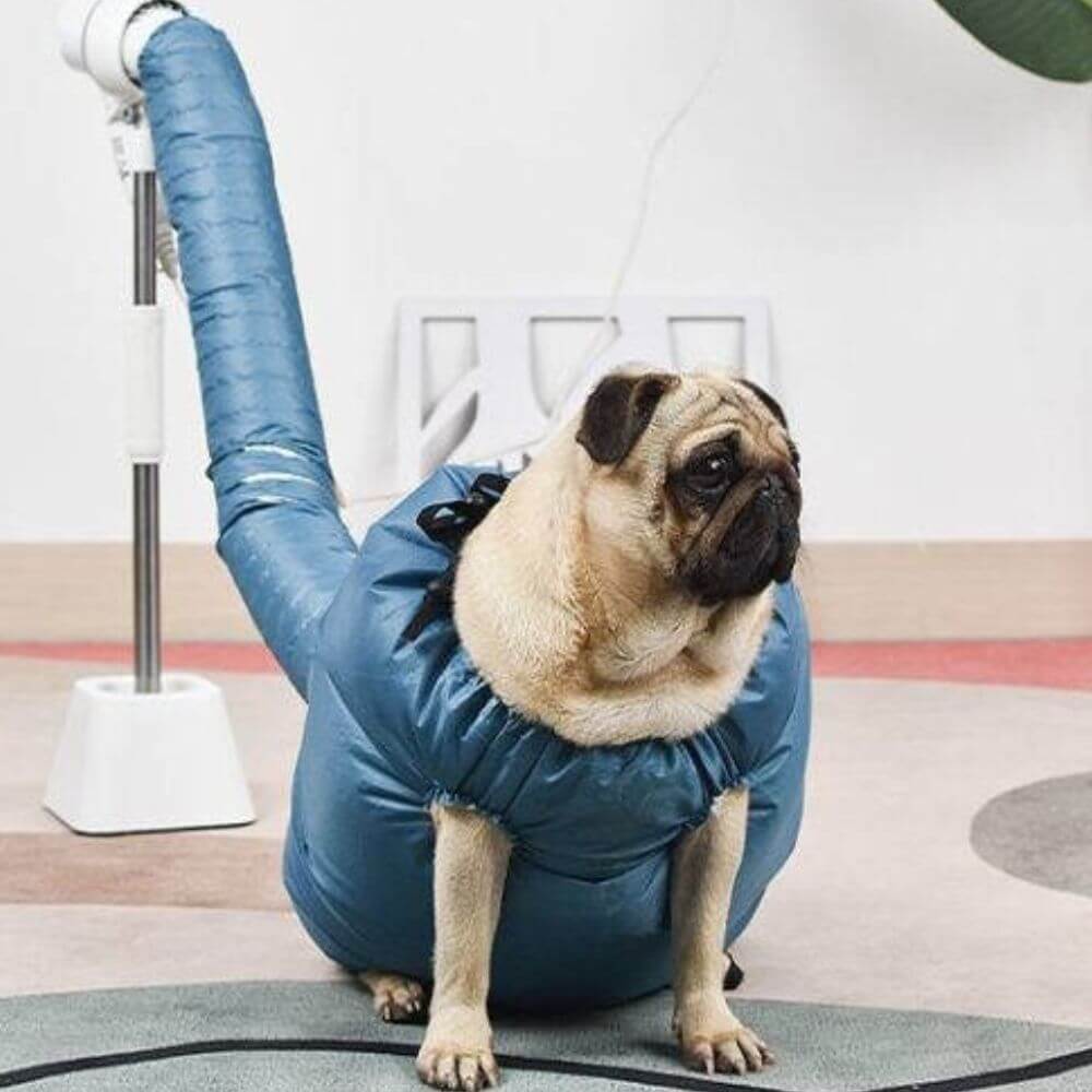 Snabbtorkande Påse för Husdjur-Animals-Hemnix-Hemnix