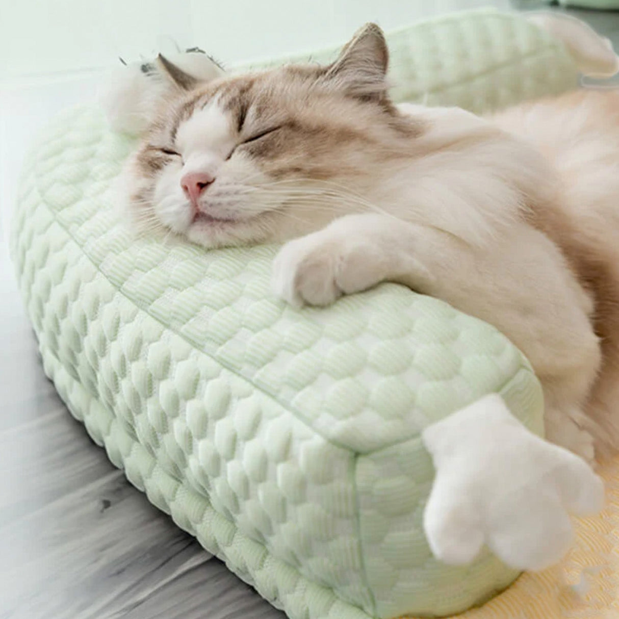 Avkylande husdjurssäng med nackskydd Andningsbar Stödjande Tvättbar Carvallo