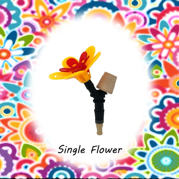 Carvallo – Den smarta baren för kolibrier! Carvallo