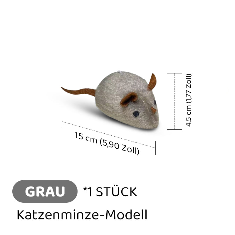 Carvallo | PawChase – Jaga, spela, jaga kul för din katt! Carvallo