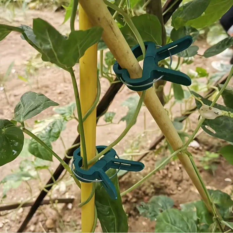 Trädgårdsclips-set – Växtöglor för växtstöd och trädgårdsskötsel Carvallo