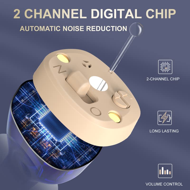 Osynliga Laddningsbara Hörsel förstärkare med Trådlös Laddningslåda Carvallo