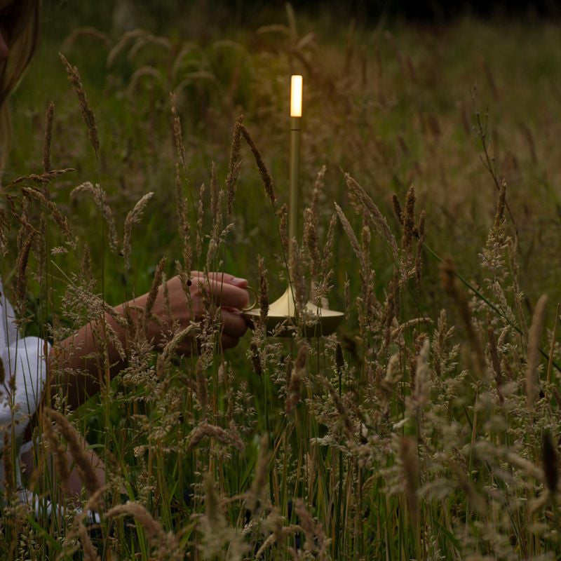 Bordslampa Med Brassy Finish LED Uppladdningsbar Lampa Carvallo