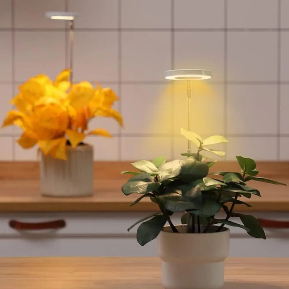PlantGlow - Justerbar LED Grow Lampa för blomstrande inomhusväxter Carvallo