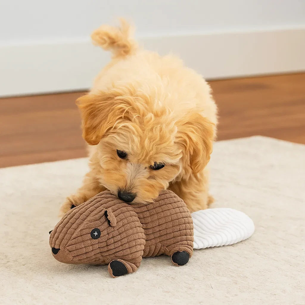 Hundleksak Pluffig Squeaky Tuggedyr Carvallo