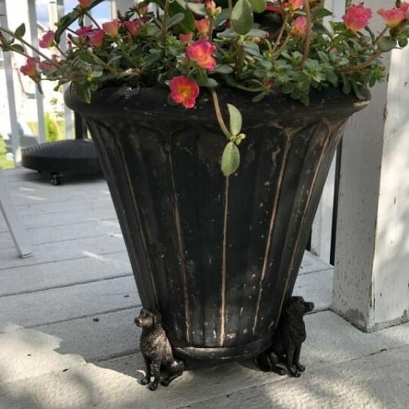 Carvallo | PottyLift - Söta pottfötter i djurform Carvallo