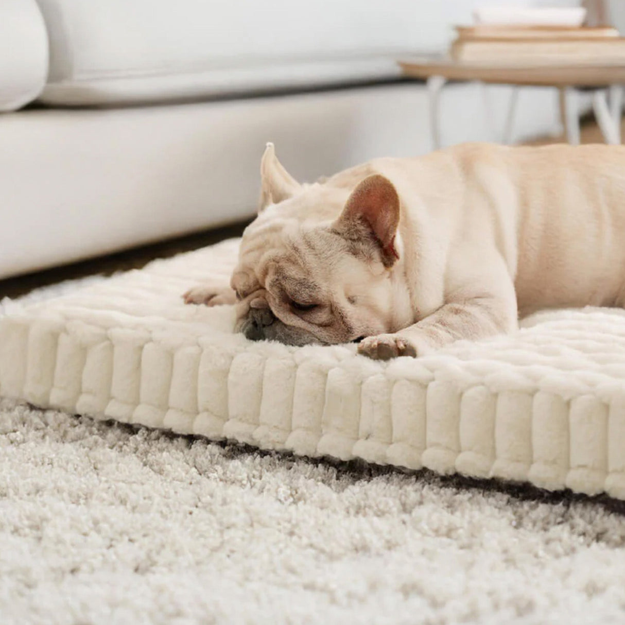 Faux Kaninpäls Ortopedisk Hundsäng Ultra Mjuk Varm Stödjande Carvallo