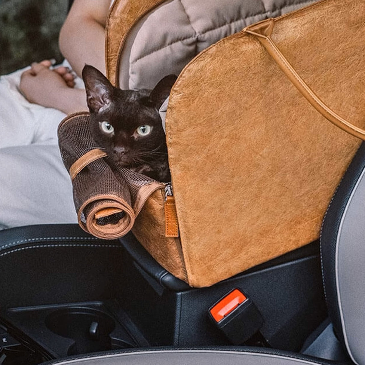 Bärbar Husdjurs Resväska – Lätt, Andningsbar & Säker för Små Husdjur Carvallo