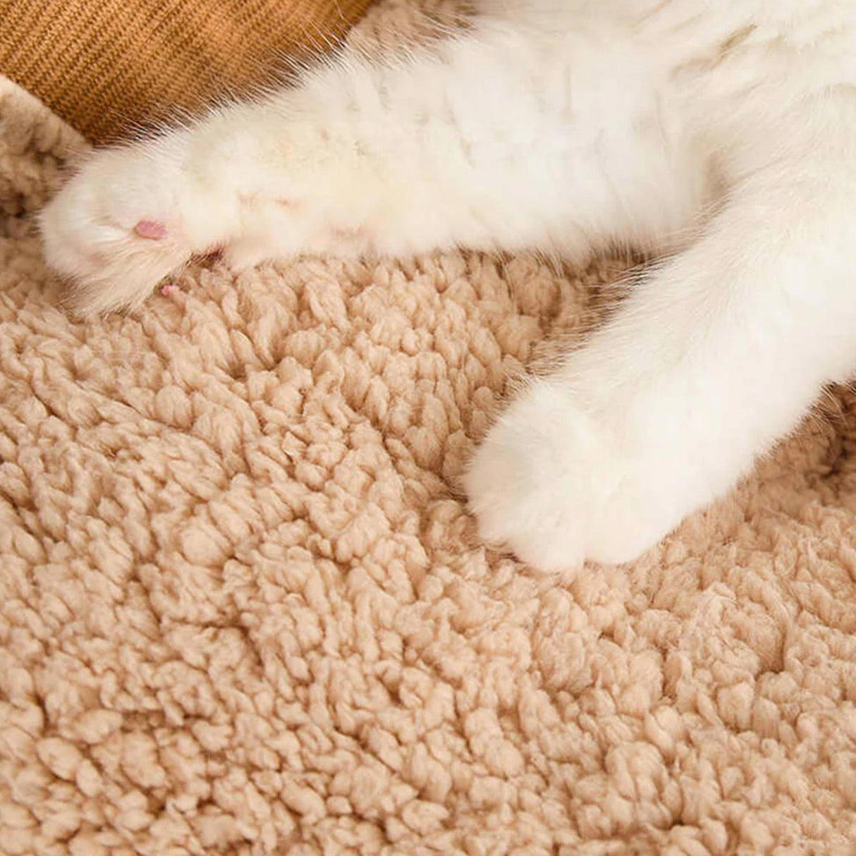 Lyxig kordflossad husdjurssoffa Säng Plysch Stödjande Tvättbar Carvallo