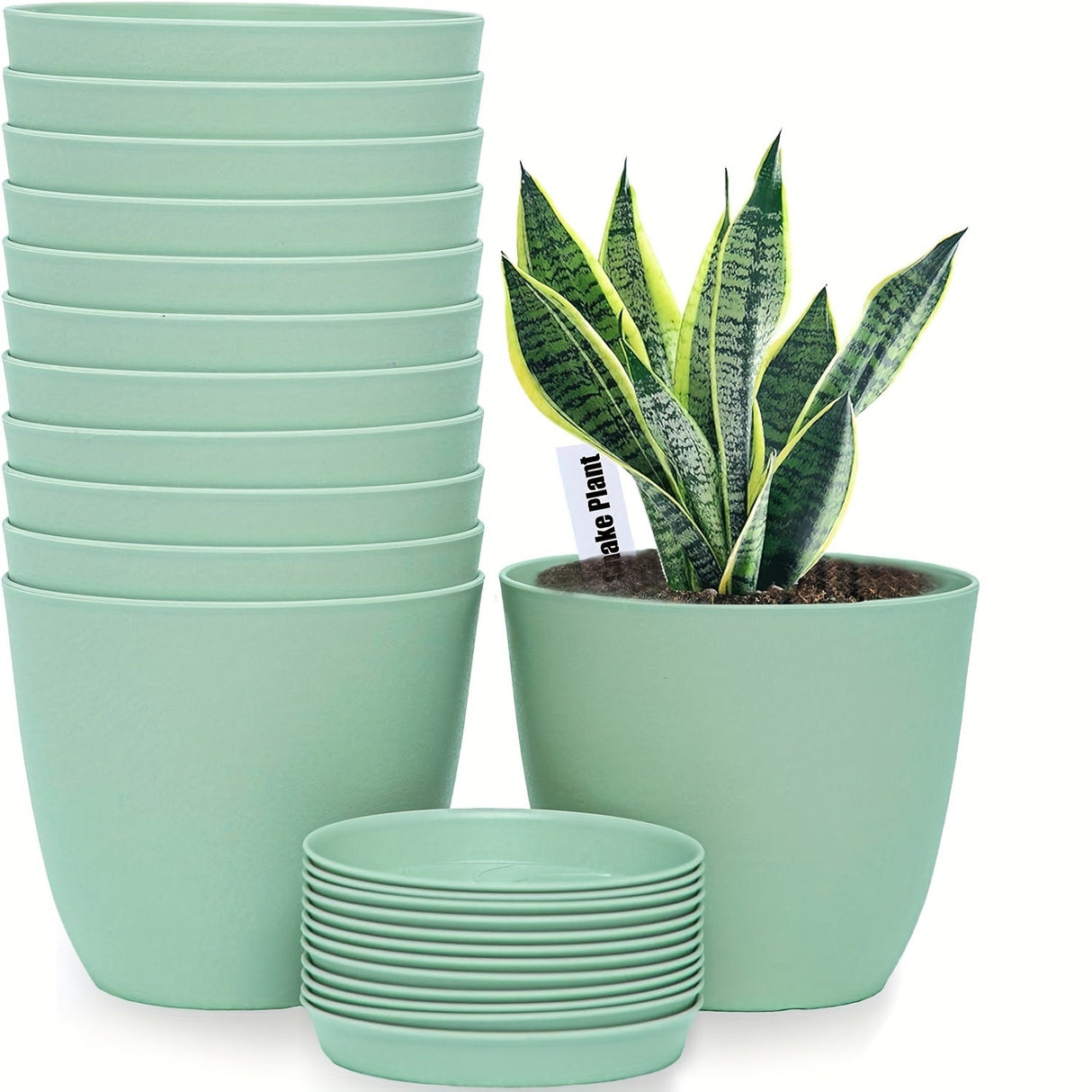 Carvallo-Set FloraCasa | 12-delad med underlägg | För inomhus & utomhus | Väderbeständig plast Carvallo