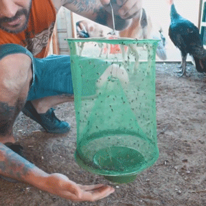 Royaleva Miljövänlig Stabil Fluggång för Utomhusbruk Carvallo