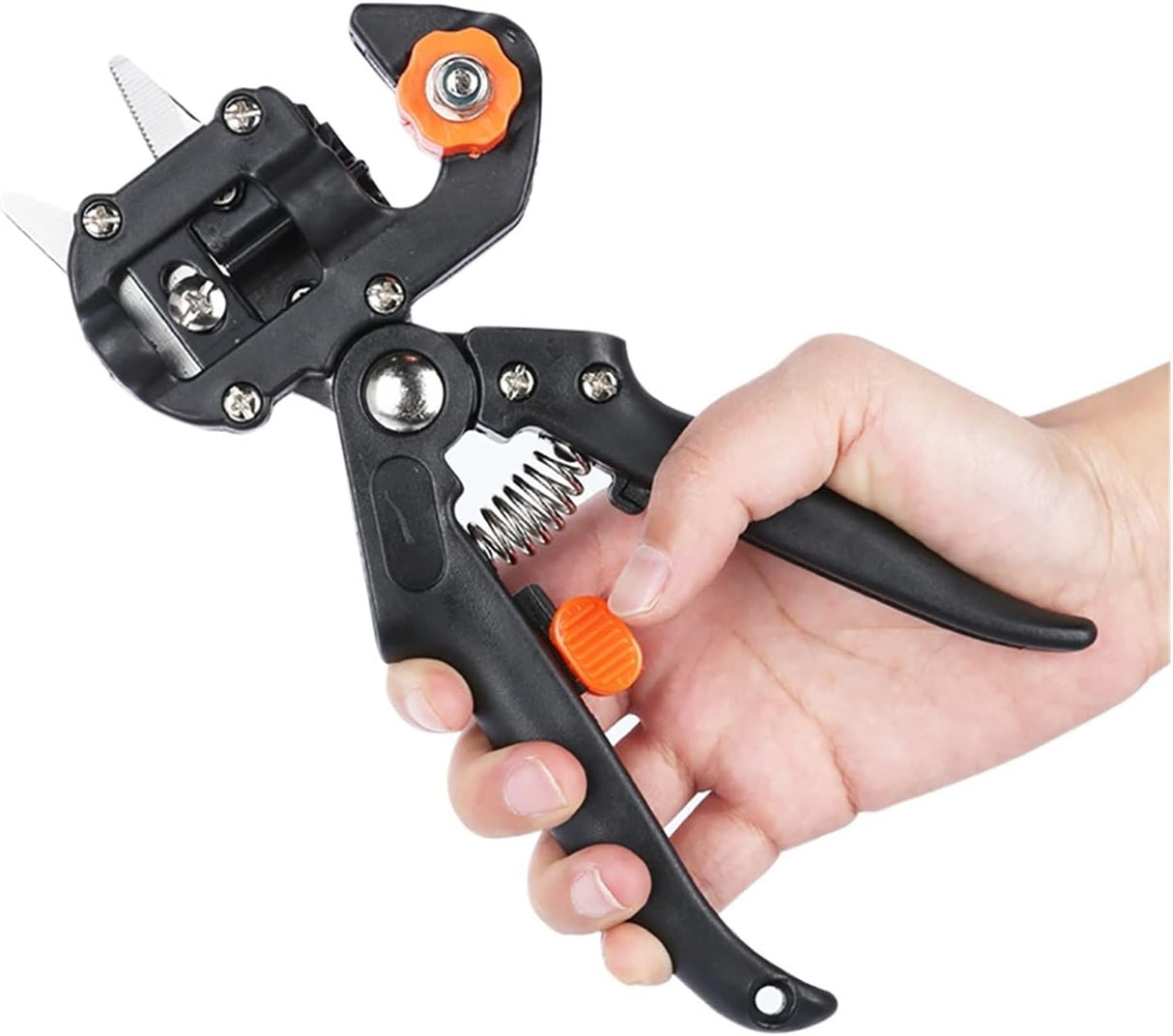 Graft- och beskärningsverktygs-set för exakt växtförädling Carvallo