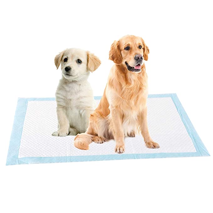 Kissar för hund-Animals-Bellasverige-Hemnix