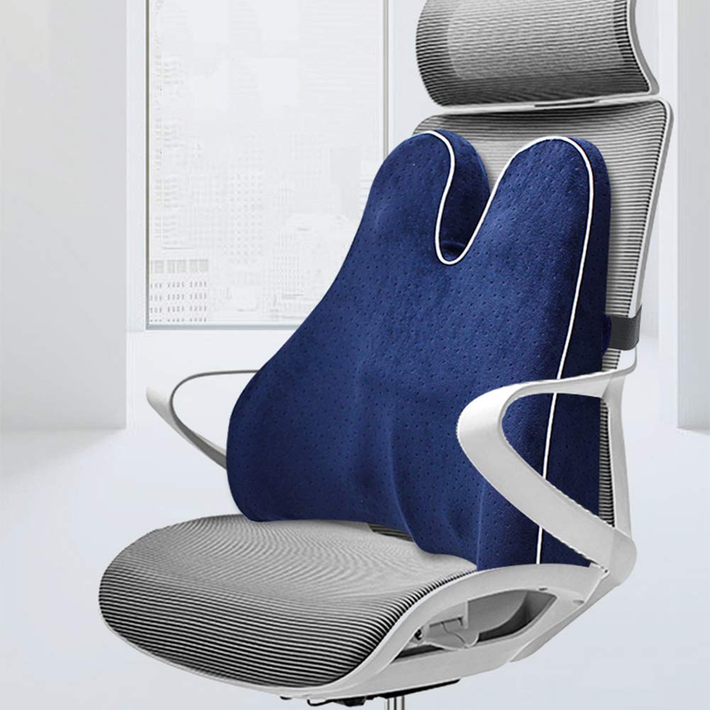 Memory Foam Lumbarsupportskudde för Ryggont Carvallo