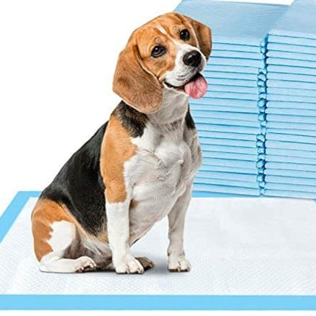 Kissar för hund-Animals-Bellasverige-Hemnix