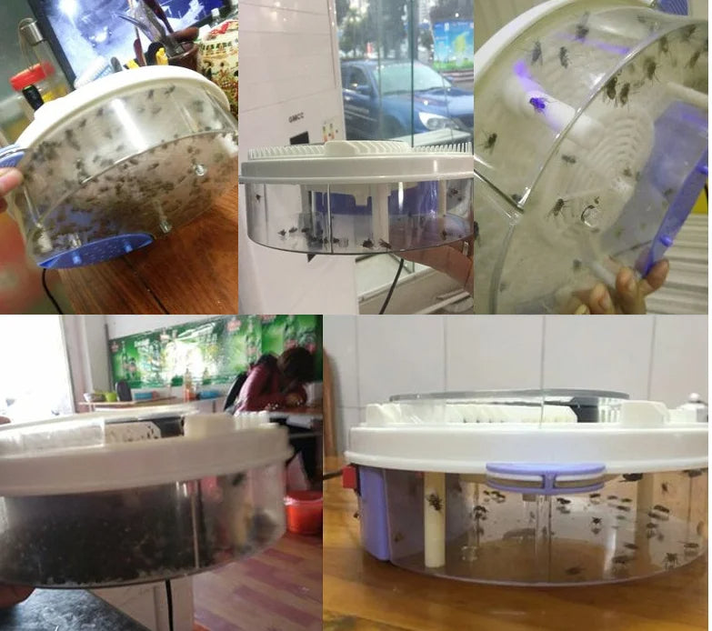 BuzzOff | FlyFree – Världens Bästa Flugefälla Carvallo