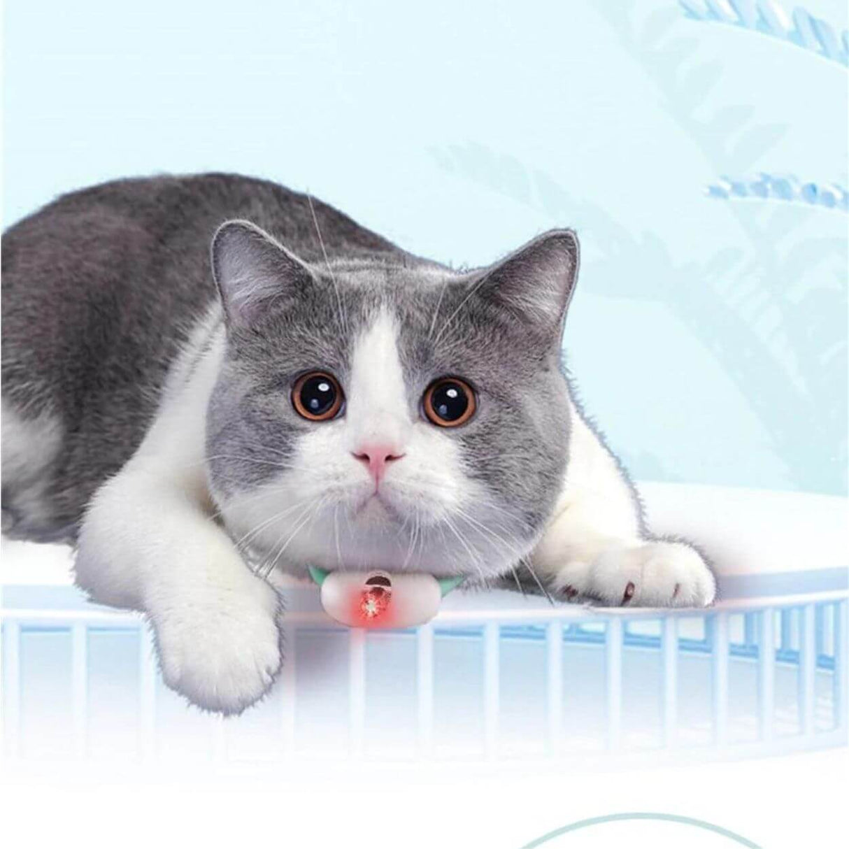 Laser Tease Kattkrage bellasverige