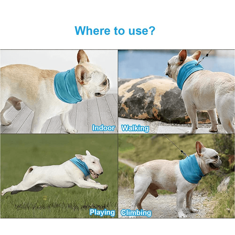 Svalkande Kylkrage För Husdjur-Husdjur-BB-Hemnix