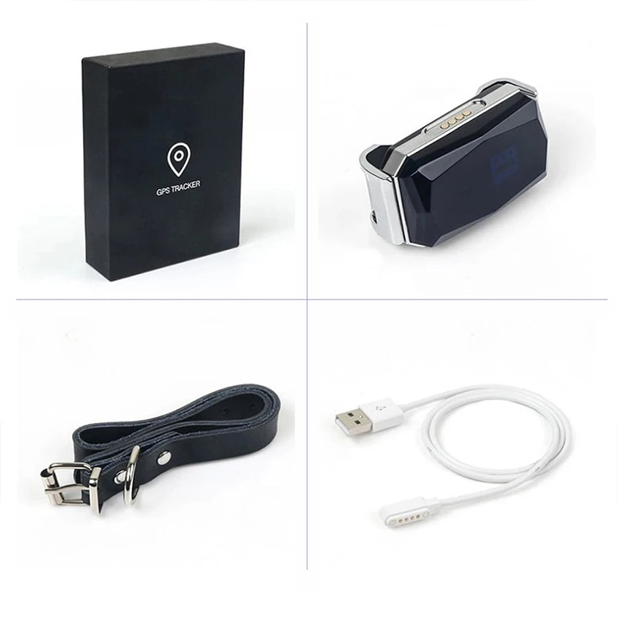 GPS Husdjurs Spårare Krage Carvallo