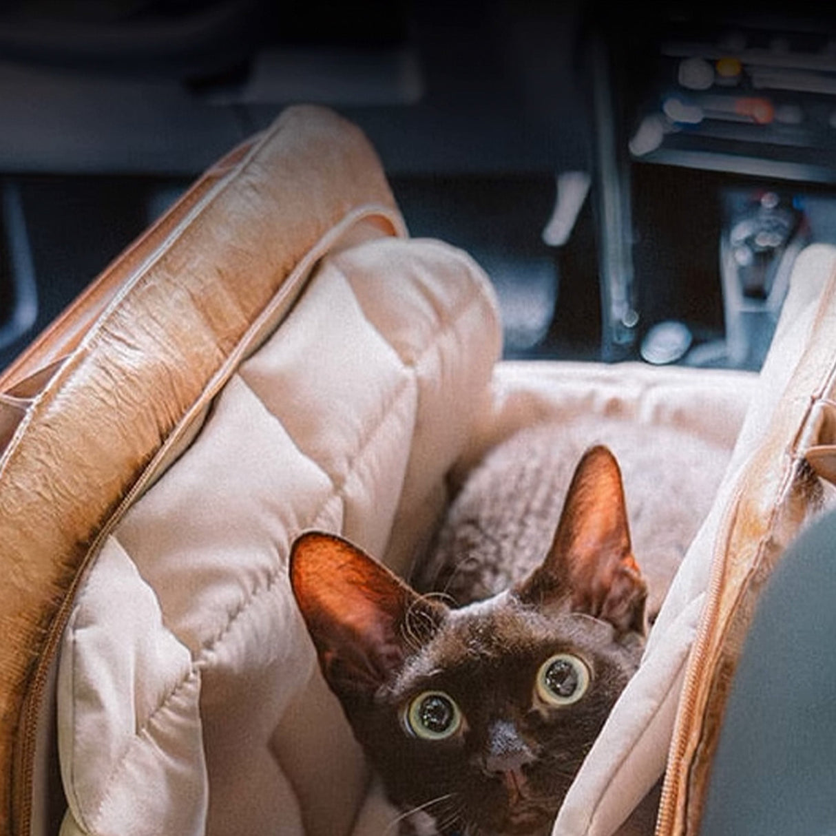 Bärbar Husdjurs Resväska – Lätt, Andningsbar & Säker för Små Husdjur Carvallo