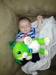 Plush Utbildningsmusikalisk Nallebjörn Leksak Carvallo