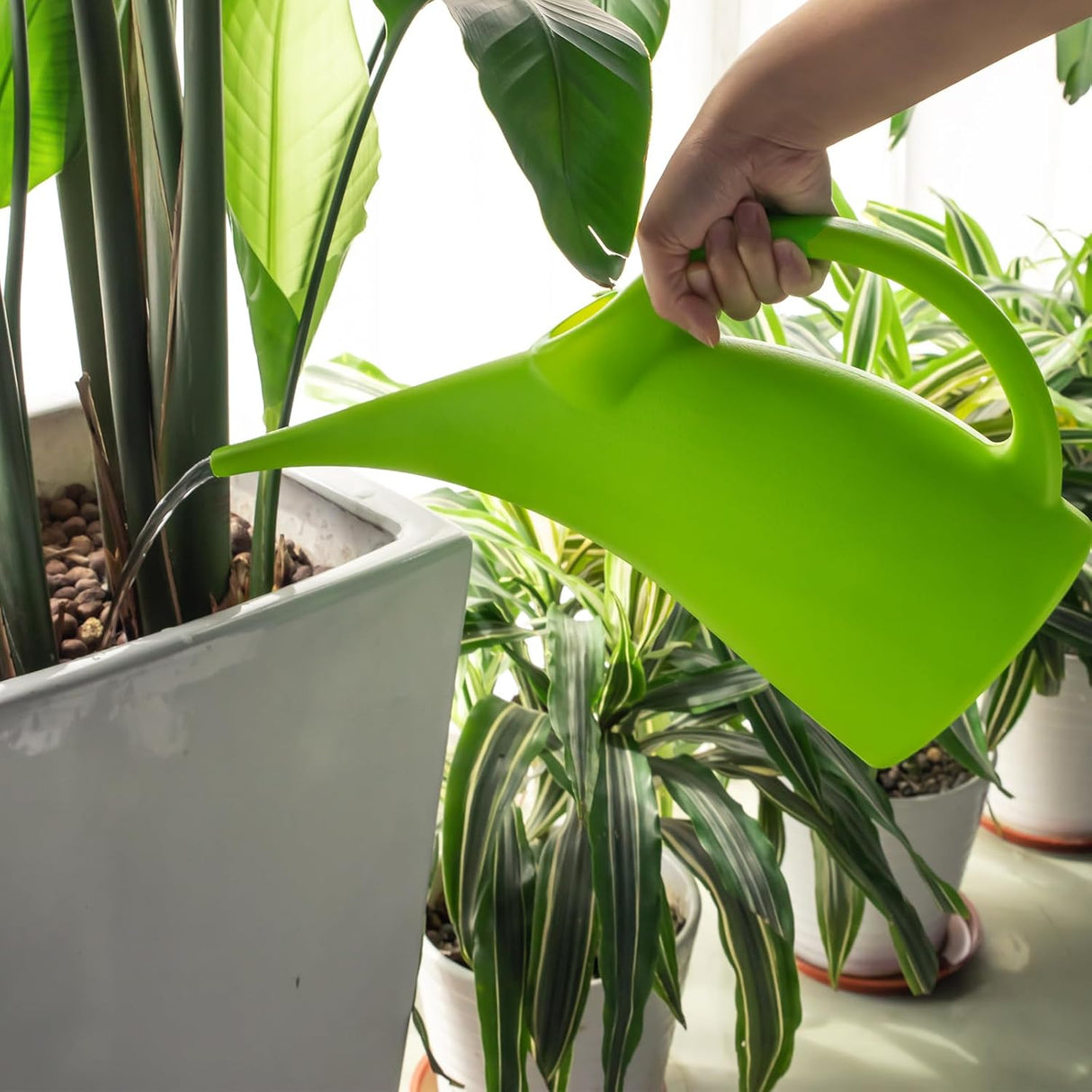 Praktisk vattenkanna för trädgården – Ergonomisk design och lätt hantering Carvallo