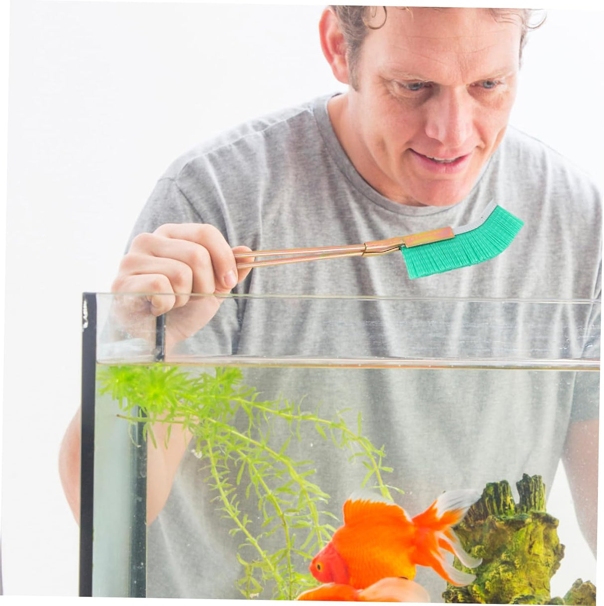 Nylonborste för Bonsai-stamområde rengöring – Trädgårdsvårdsverktyg Carvallo