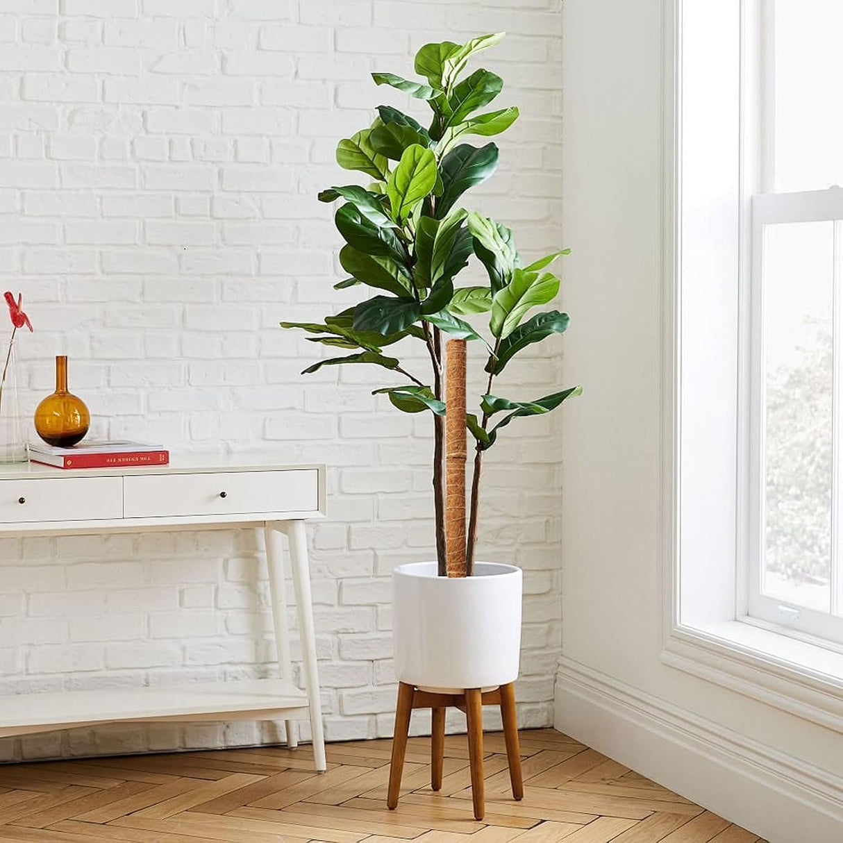 Kokosmoss Stativ för klätterväxter – Naturligt stöd för inomhusväxter och trädgård Carvallo