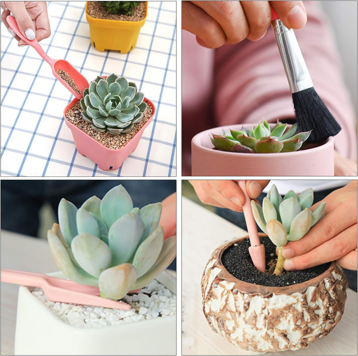 Kombinationsset för suckulentplanteringsverktyg – Praktiskt set för skötsel och plantering Carvallo