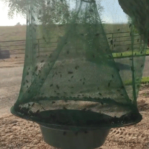 Royaleva Miljövänlig Stabil Fluggång för Utomhusbruk Carvallo