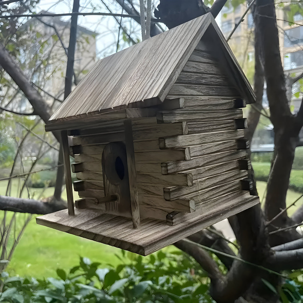 HollowHaven Nest - Rustikala trädfågelhus Carvallo