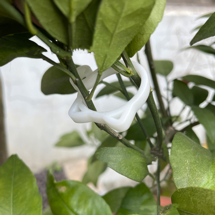 Katt-formad växtklipp – Söt växtstöd för trädgård och inomhusväxter Carvallo