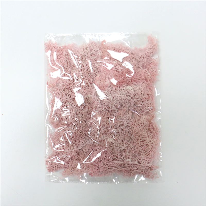 Konstgjord mossa för landskapsdesign – Mossa och blommor för dekoration och floristisk Carvallo