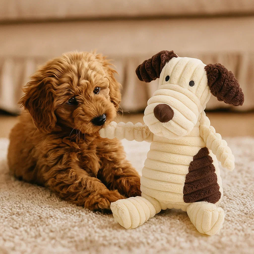 Hundleksak Pluffig Squeaky Tuggedyr Carvallo