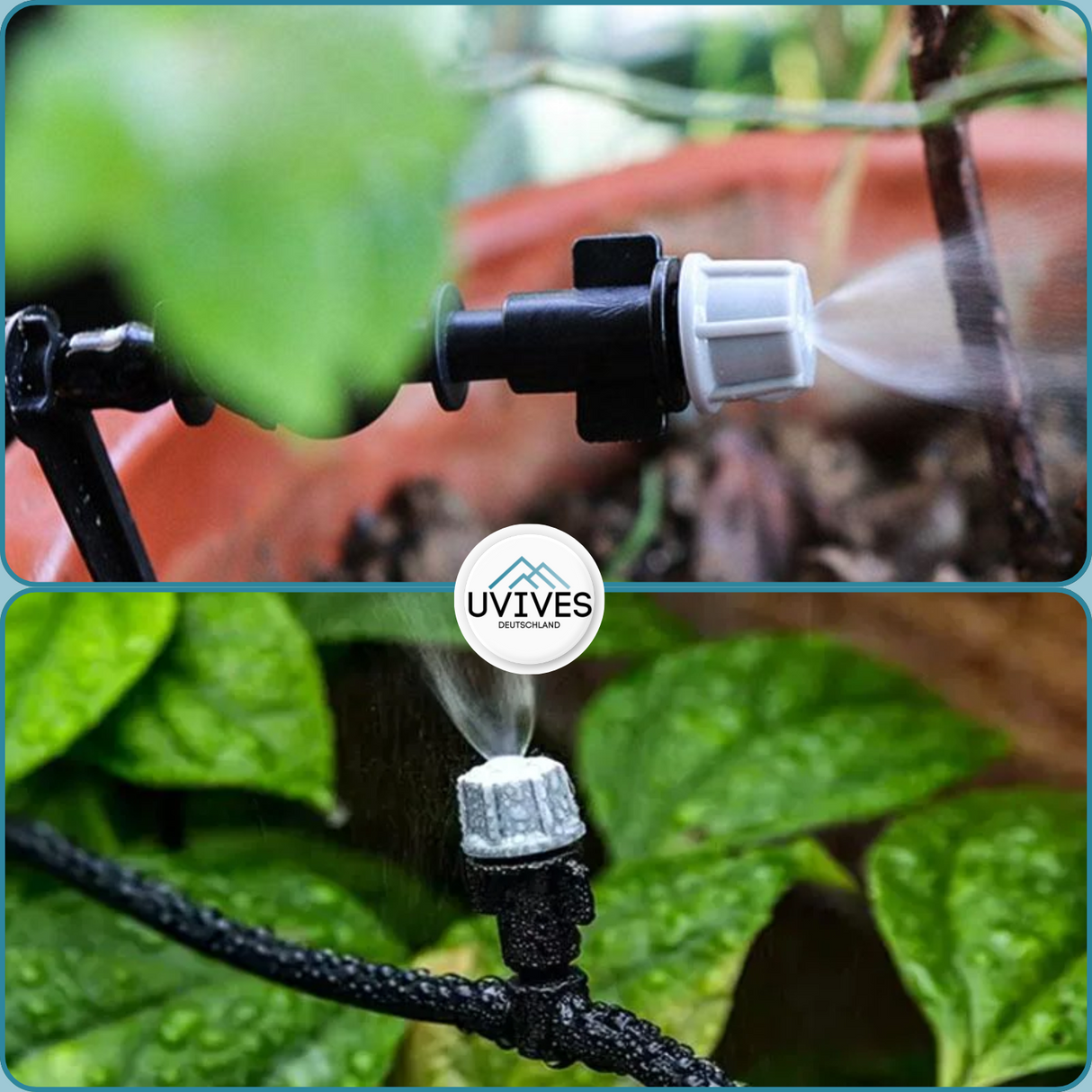 Carvallo Pro – Maximal avkastning med minimal ansträngning (20-pack) Carvallo