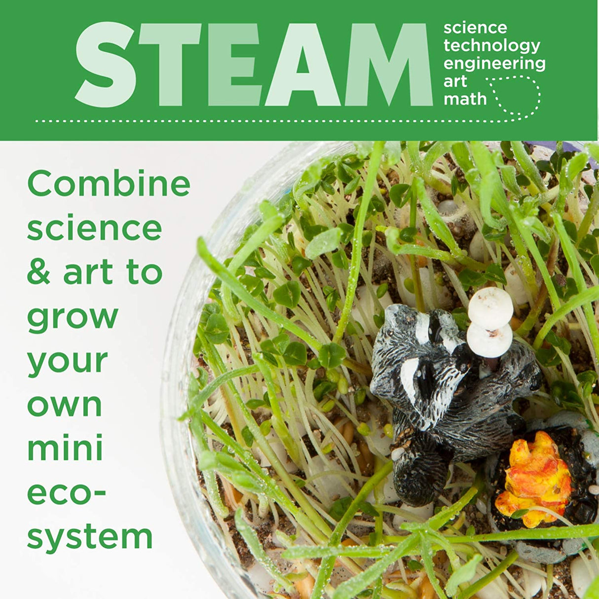 Plantas Växande Kit Färgglad Terrarium Sats Carvallo