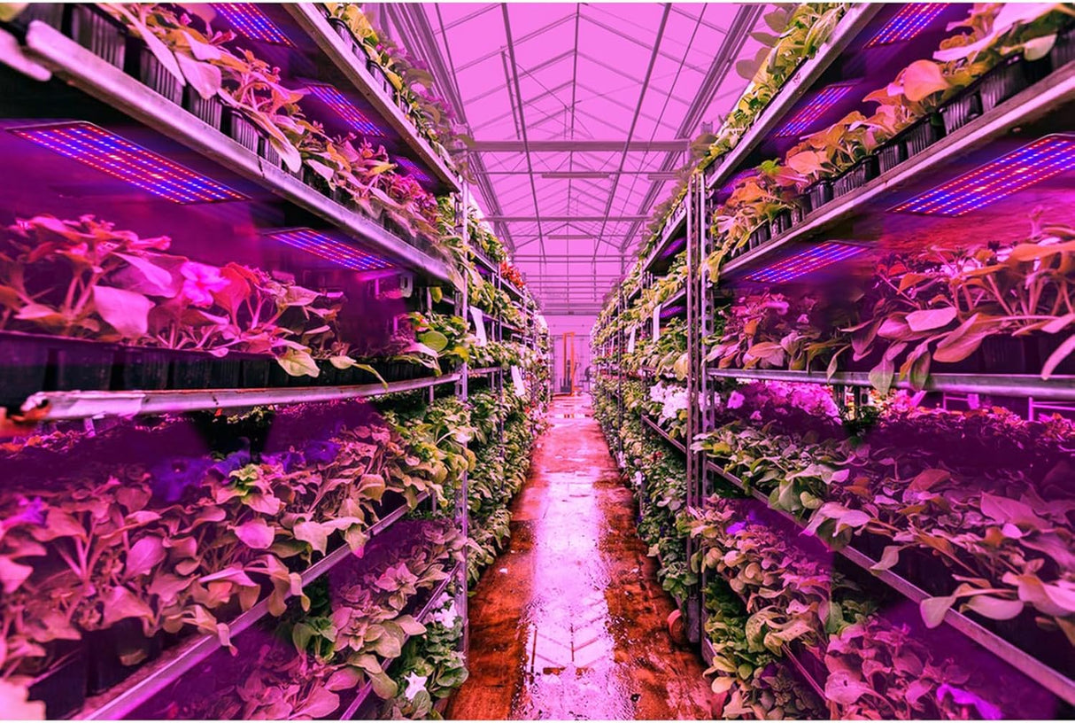 LED Quantum Växtbelysning Panel för tillväxt och färgfrämjande – Med justerbart ljusläge Carvallo