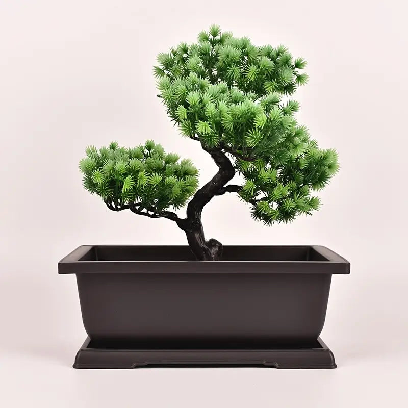 Planter med fat – Rektangulär blomkruka för trädgård och balkong Carvallo