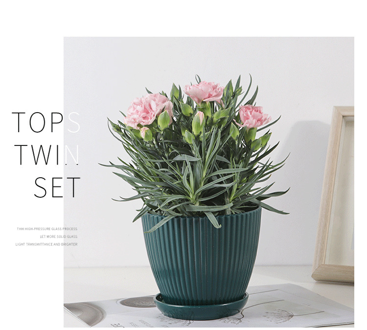 Blomkruka med ribbad struktur och bricka – Stabil plastkruka för växter Carvallo