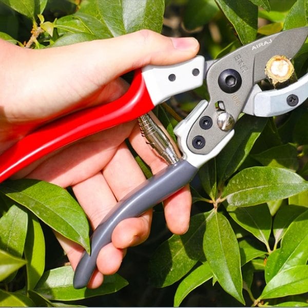 Sekatör- trädgårdssax-VaruZ-Hemnix