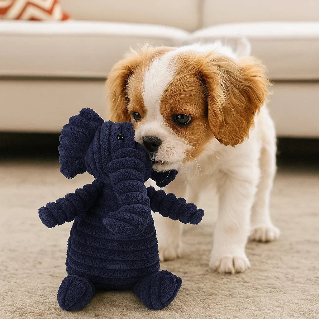 Hundleksak Pluffig Squeaky Tuggedyr Carvallo