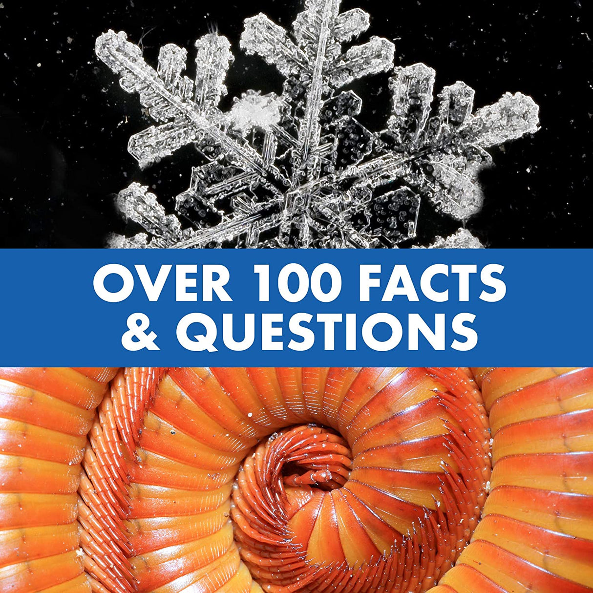 Mikroskop Lek för Barn med Pratande Funktion Carvallo