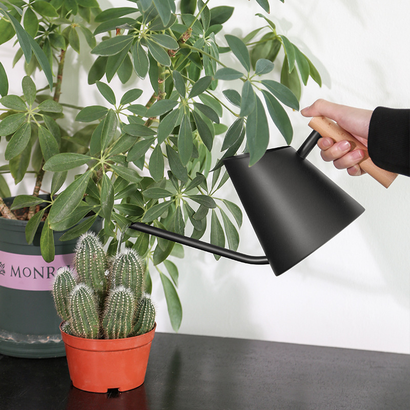 Modern vattenkanna med trähandtag – Stilig vattenkanna för växter i trädgården Carvallo