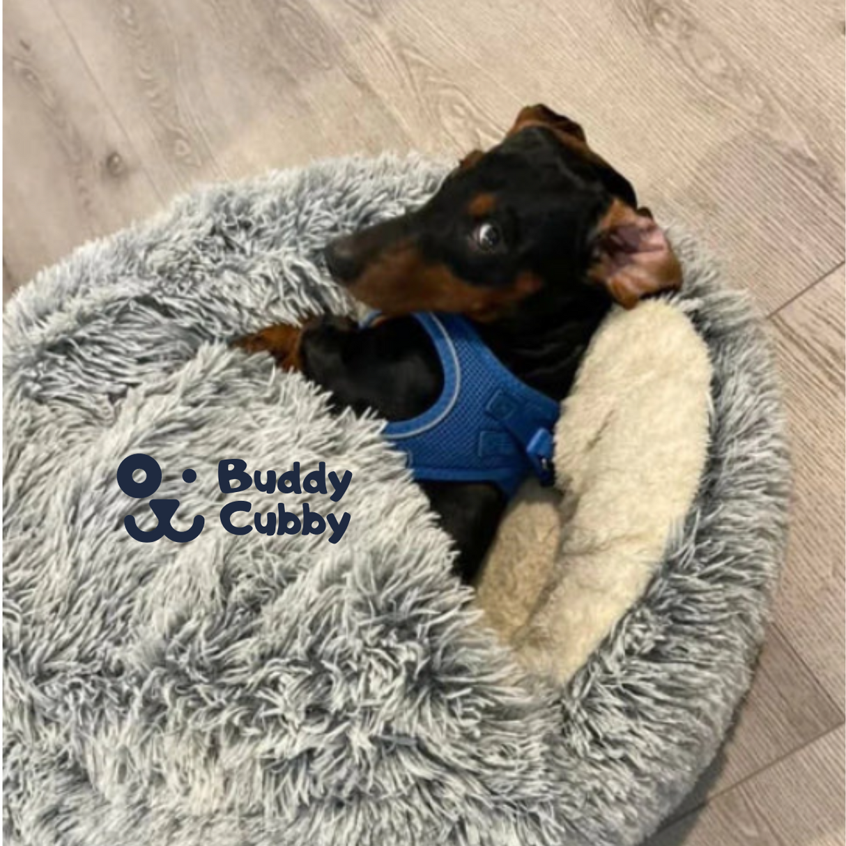 BuddyCubby™ Husdjurssäng-Hemnix-Hemnix