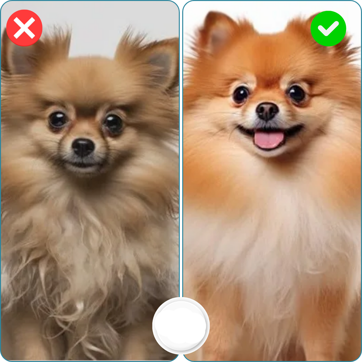 Carvallo – Mild vård, glansigt resultat Carvallo