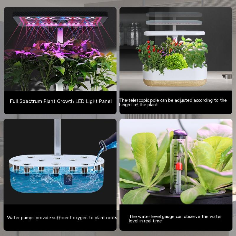 Intelligent hydroponics set för inomhus – Jordfri växtodling för hemmet Carvallo