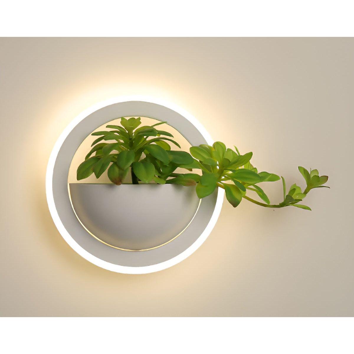 EcoChic Glow - Minimalistisk nordisk konst växtväggslampa för stilfulla glödande Carvallo