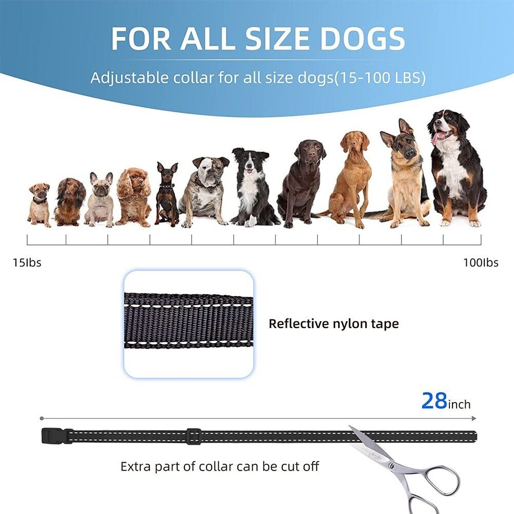 Anti-bark Elektrisk Stöt Djur Hund Träning E-halsband Lydnad Fjärrkontroll Carvallo