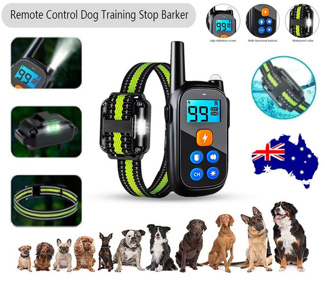 Anti-bark Elektrisk Stöt Djur Hund Träning E-halsband Lydnad Fjärrkontroll Carvallo